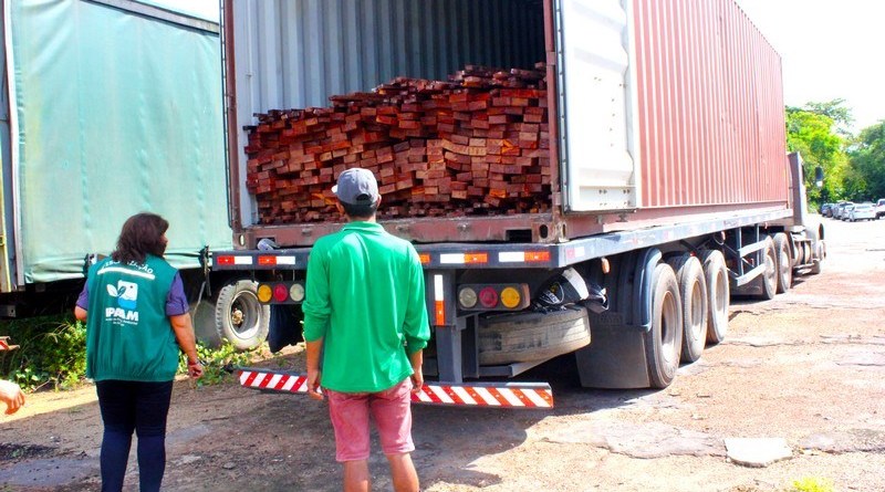 MPF denuncia empresário que vendeu ilegalmente madeiras nobres da Amazônia