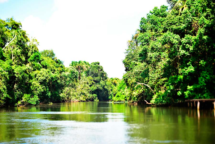 Amapá tem o menor índice de desmatamento da Amazônia Legal