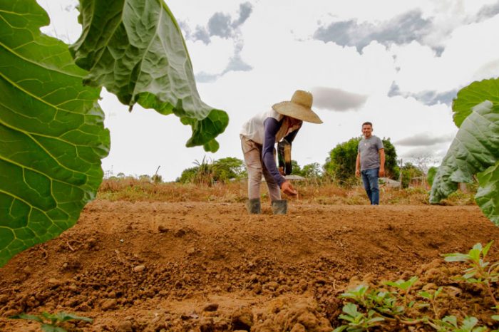 Atenção, produtor rural! Saiba como se inscrever no Programa de Produção Integrada de Alimentos