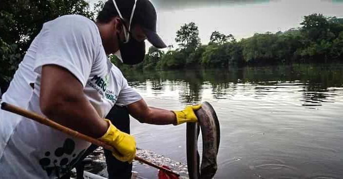 Randolfe defende investigação de possível contaminação do Rio Amapari e Igarapés Xivete e Areia